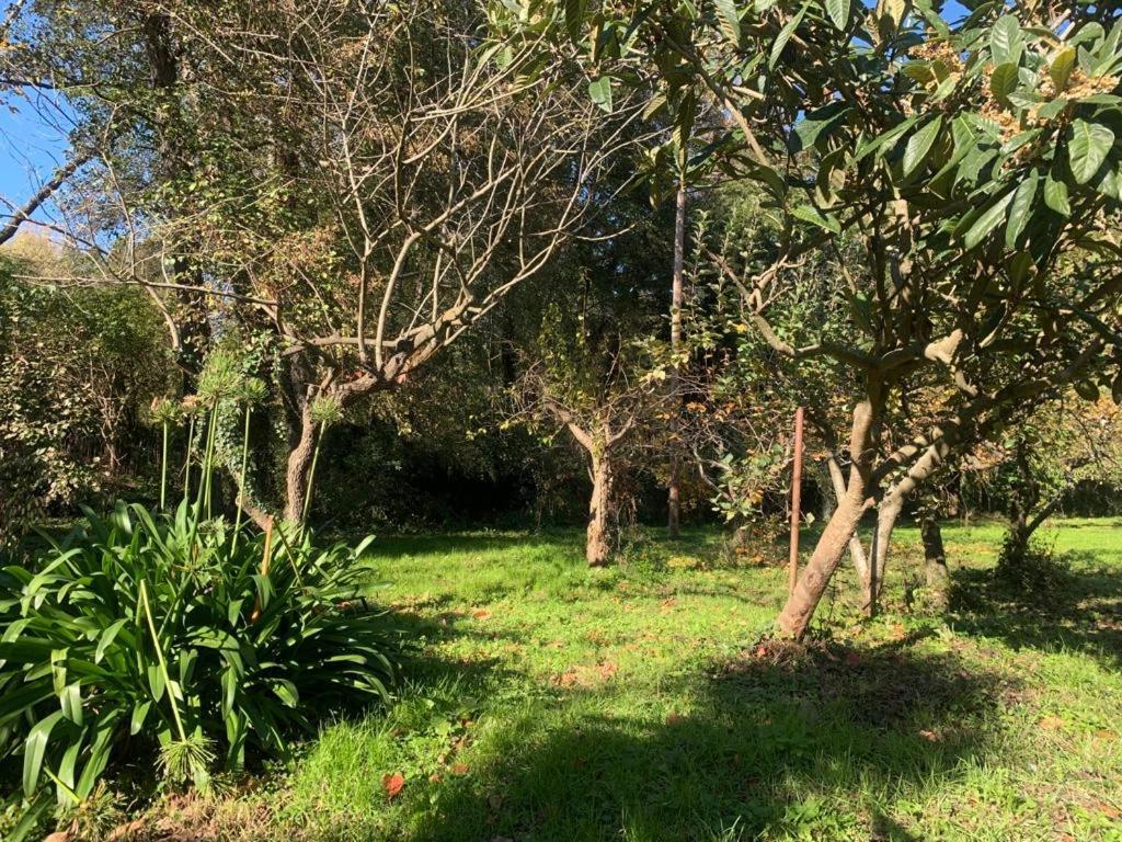 Masia Can Janet Arbucies Bagian luar foto