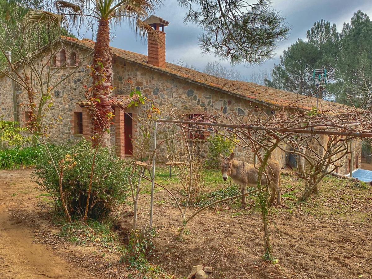 Masia Can Janet Arbucies Bagian luar foto